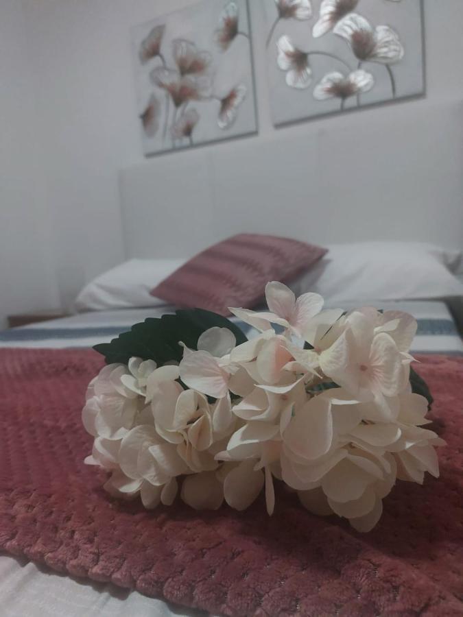 Apartament Camino Santiago Estrella Sarria Zewnętrze zdjęcie